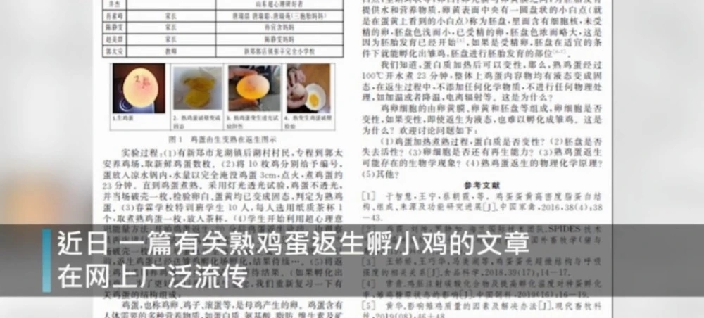 熟蛋返生孵小雞論文作者回應(yīng) 反生的小雞正常生長(zhǎng)